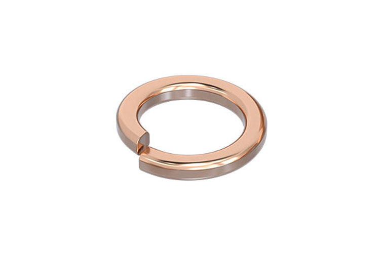 Brass Compression Spring Washer