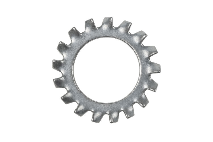 External-Tooth-Lock-Washer
