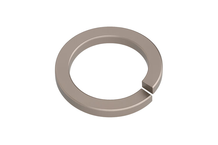 Titanium Spring Washer