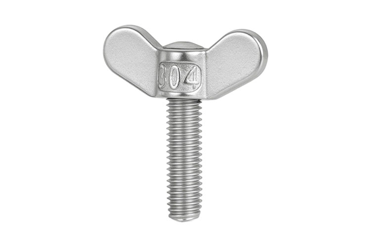 SS Wing Screw